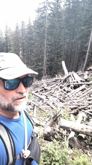 IMG_20170902_115236225